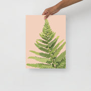 Fern Fine Print